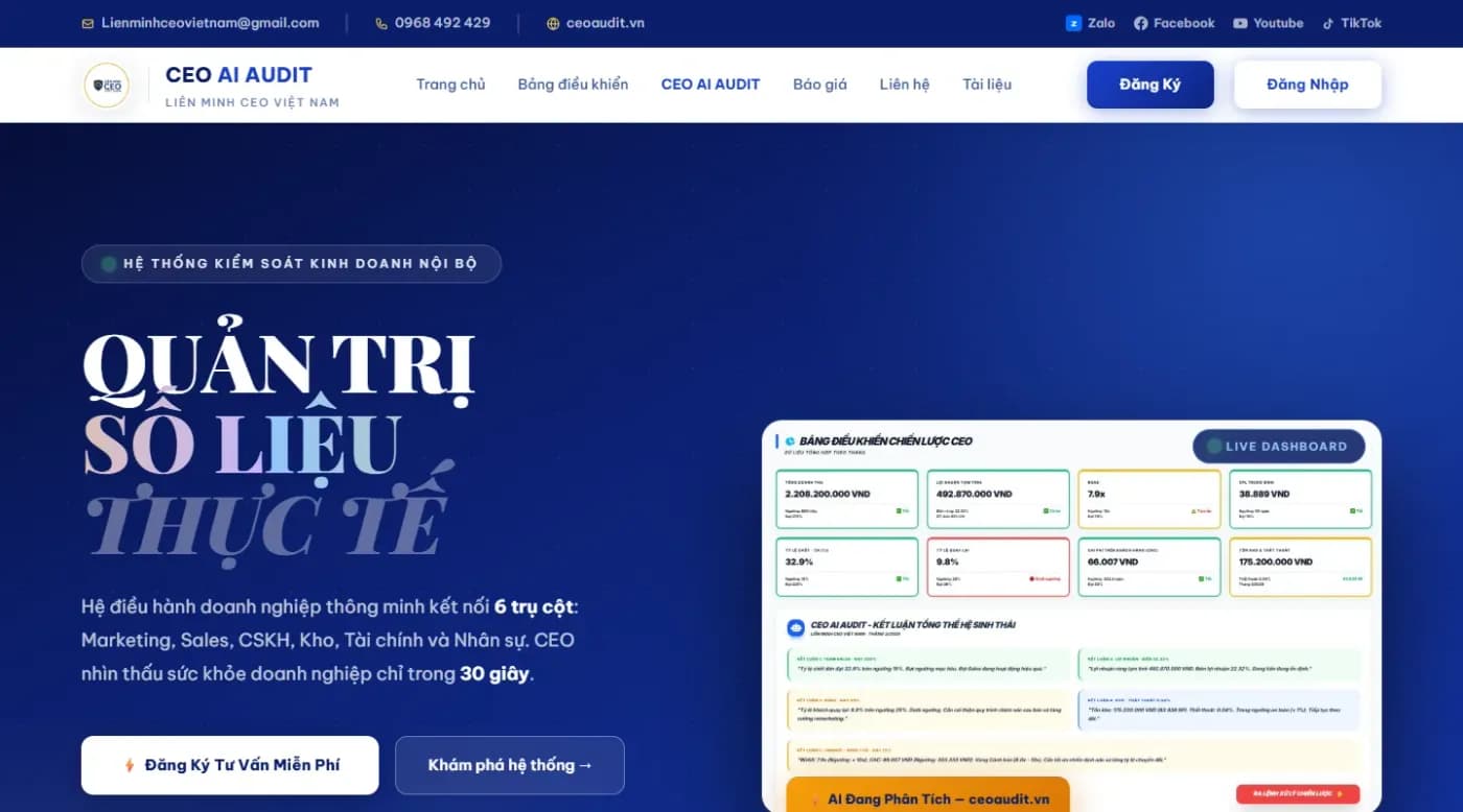 Website CEO AI Audit & X10SME